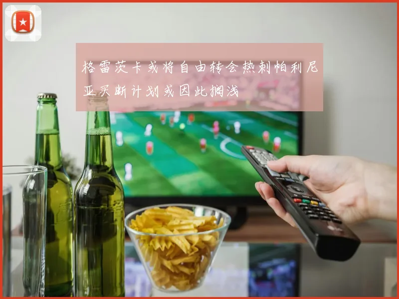 格雷茨卡或将自由转会热刺帕利尼亚买断计划或因此搁浅