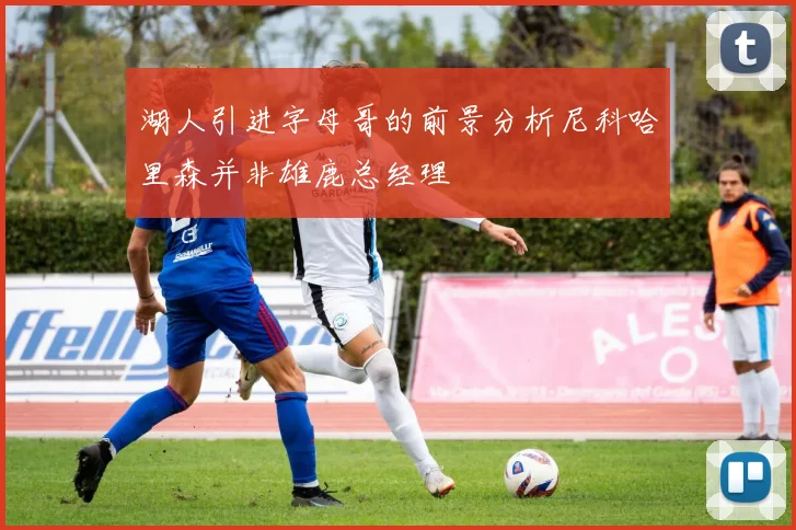 湖人引进字母哥的前景分析尼科哈里森并非雄鹿总经理