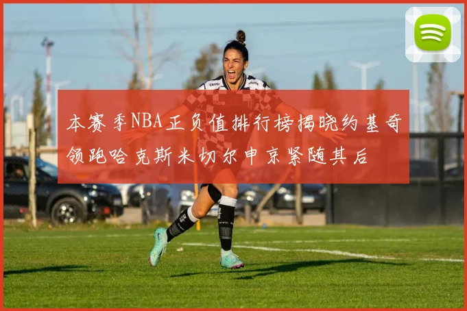 本赛季NBA正负值排行榜揭晓约基奇领跑哈克斯米切尔申京紧随其后