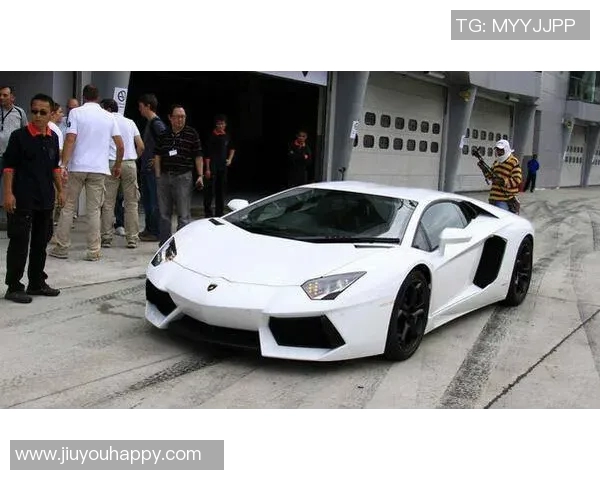 桑切斯场外生活揭秘出轨分手求婚遭拒豪车酒庄投资引关注